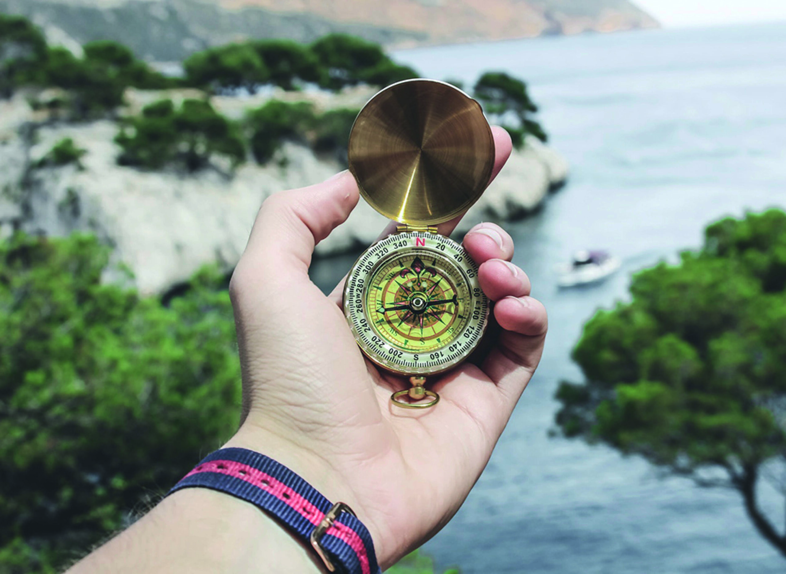 Wegwijs In Het Repertorium BCFI