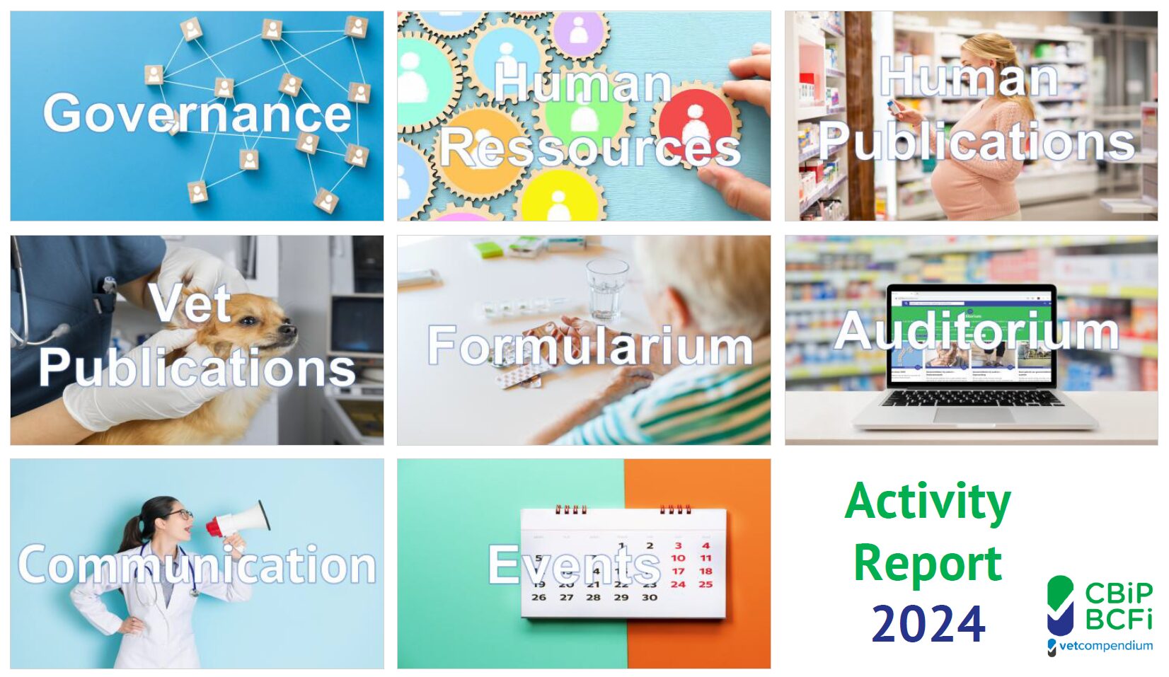 Activity report 2024